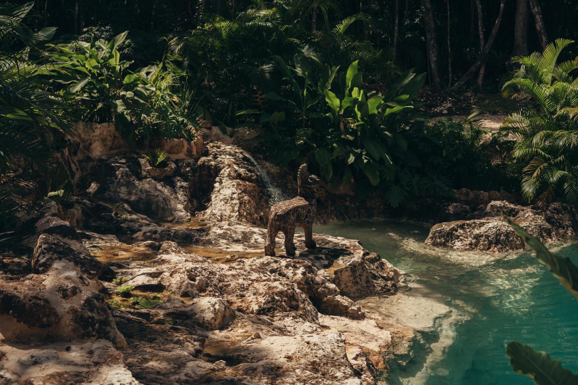 Hotel Amaite Retreat Tulum Macario Gomez Zewnętrze zdjęcie